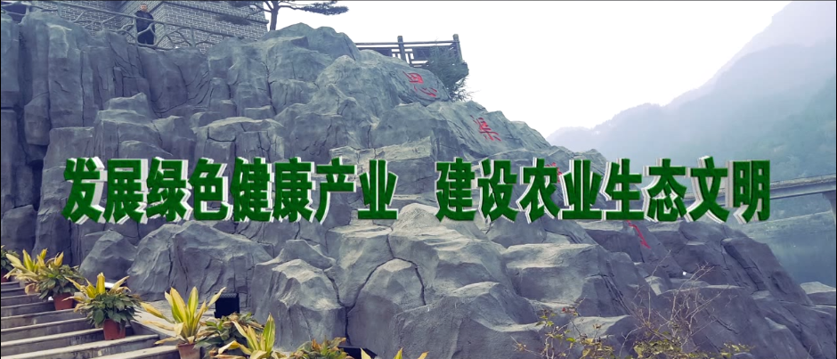 &#29615;&#29699;&#40;&#20013;&#22269;&#41;&#20307;&#32946;&#23448;&#26041;&#32593;&#31449;