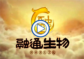 &#29615;&#29699;&#40;&#20013;&#22269;&#41;&#20307;&#32946;&#23448;&#26041;&#32593;&#31449;