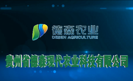 我司贵州(zhōu)德森农(nóng)业(yè)宣(xuān)传片制作完成